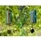 Zaphir Spring & Winter Set
